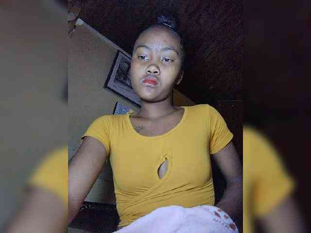 Stella11 webcam