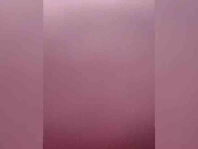 Stella11 webcam