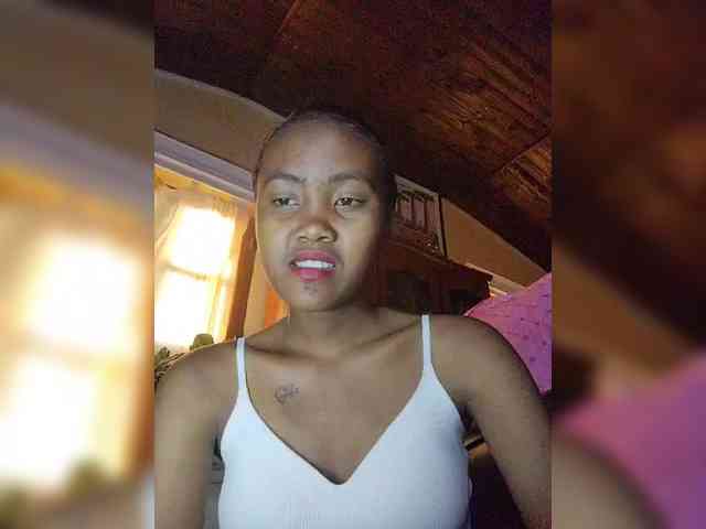 Stella11 webcam