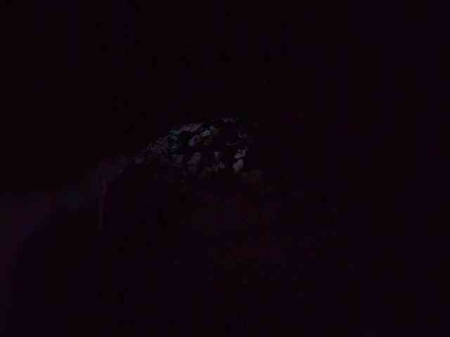 Stella11 webcam