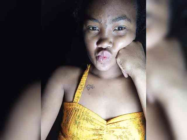 Stella11 webcam