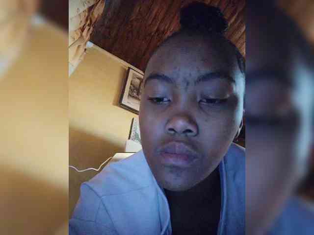 Stella11 webcam