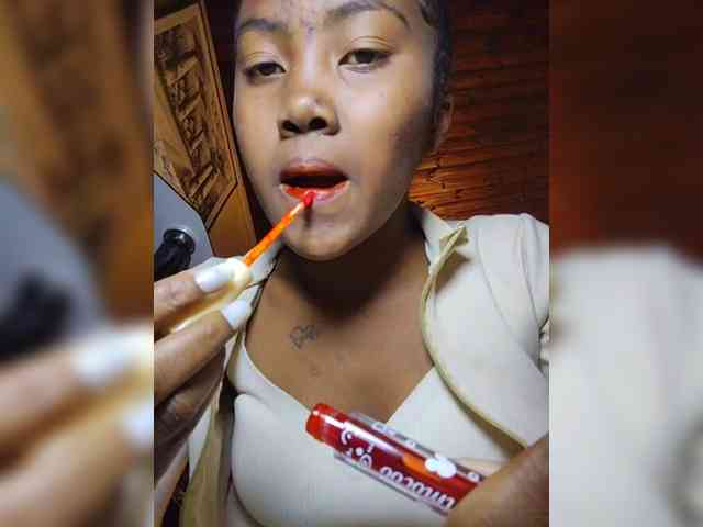 Stella11 webcam