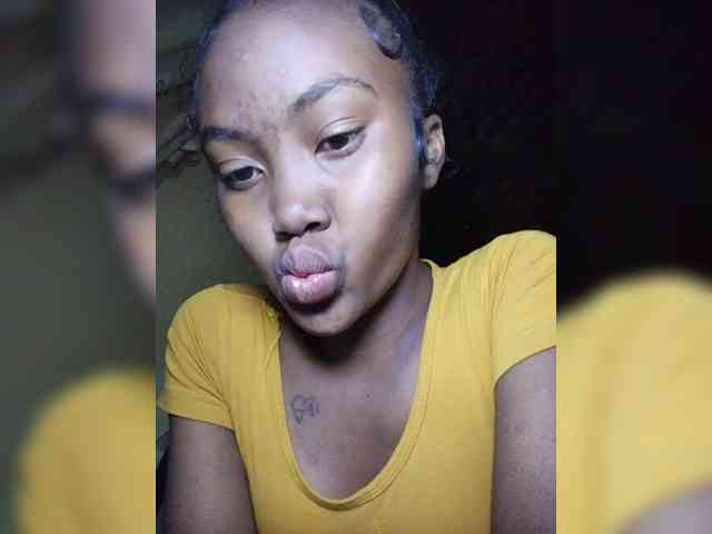 Stella11 webcam