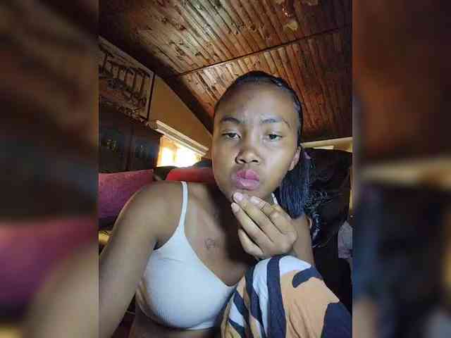 Stella11 webcam
