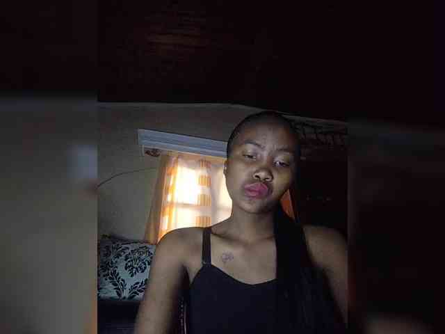 Stella11 webcam