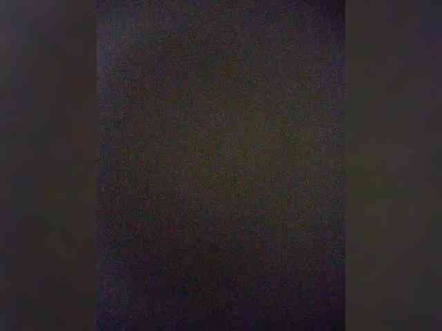 Stella11 webcam