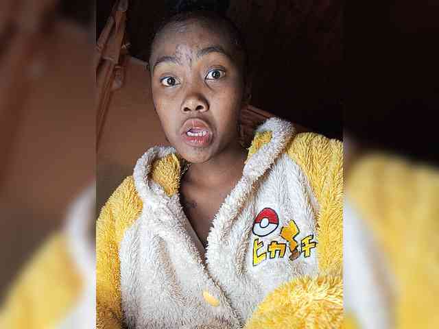Stella11 webcam