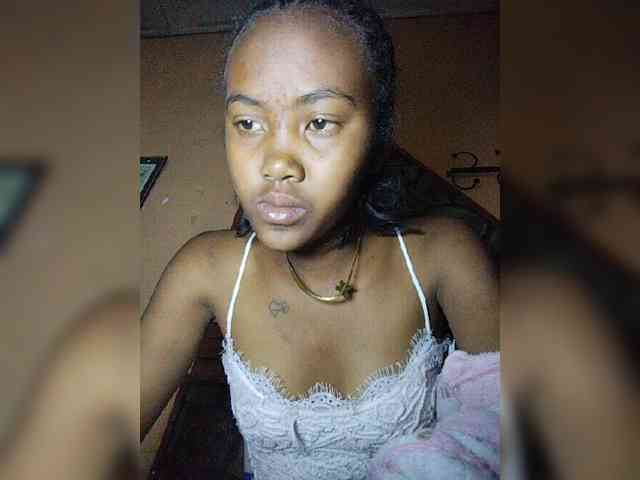Stella11 webcam