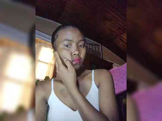 Stella11 webcam