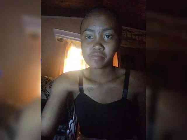 Stella11 webcam