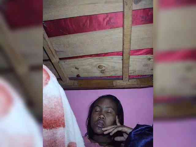 Stella11 webcam