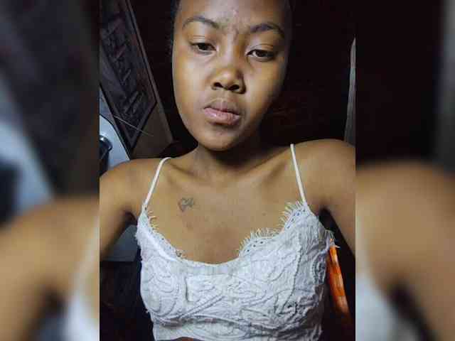 Stella11 webcam