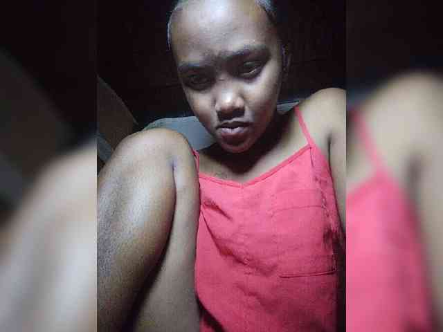 Stella11 webcam