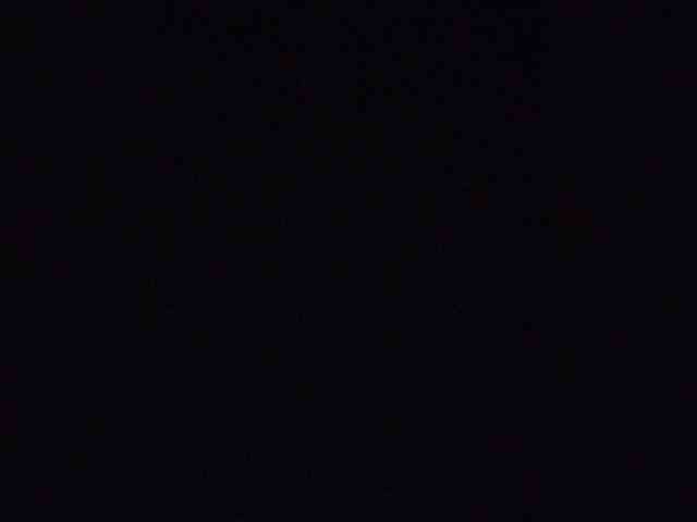 Stella11 webcam