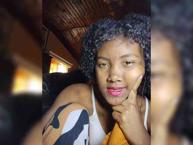 Stella11 webcam