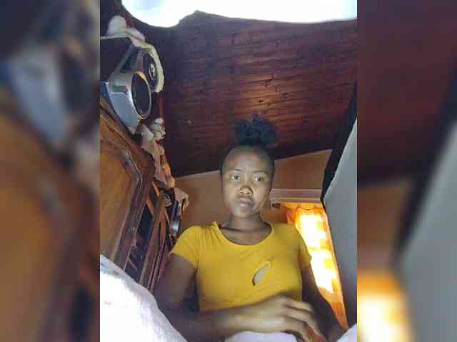 Stella11 webcam