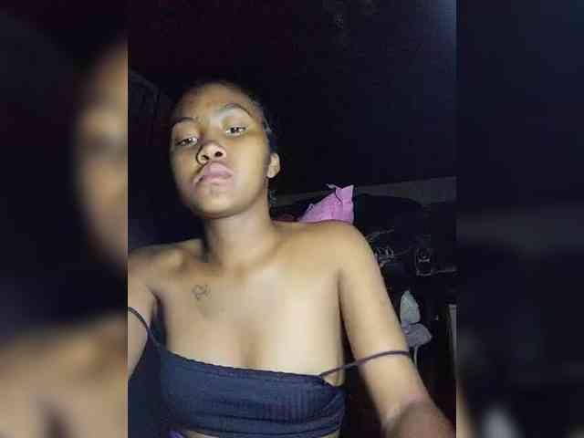 Stella11 webcam