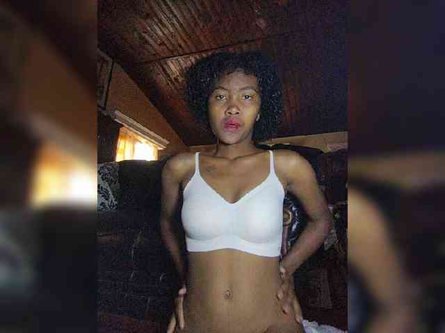 Stella11 webcam