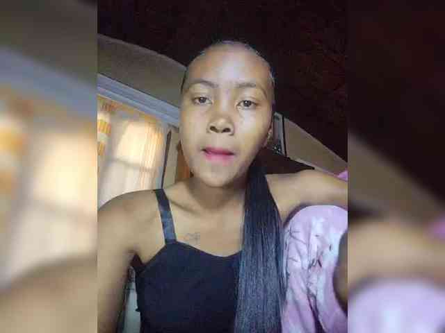 Stella11 webcam