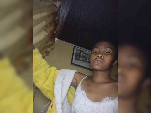 Stella11 webcam