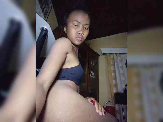 Stella11 webcam