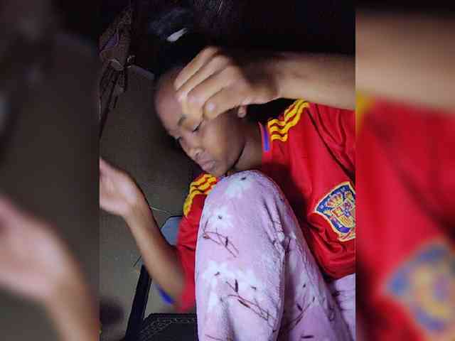Stella11 webcam
