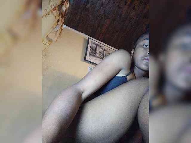 Stella11 webcam