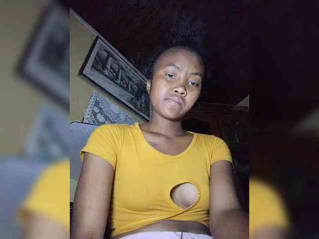 Stella11 webcam