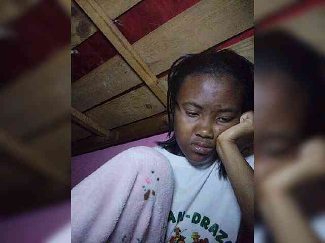 Stella11 webcam