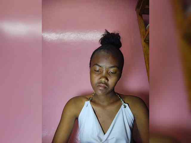 Stella11 webcam