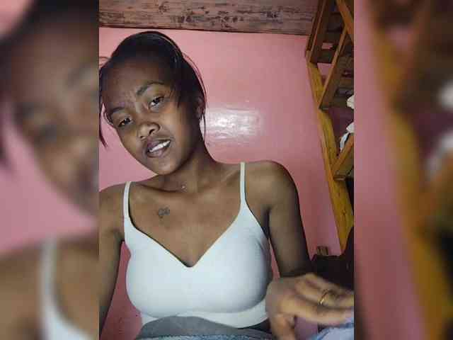 Stella11 webcam