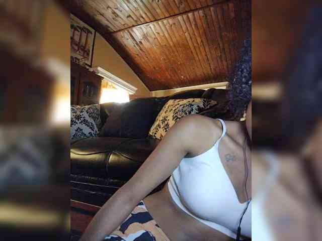 Stella11 webcam