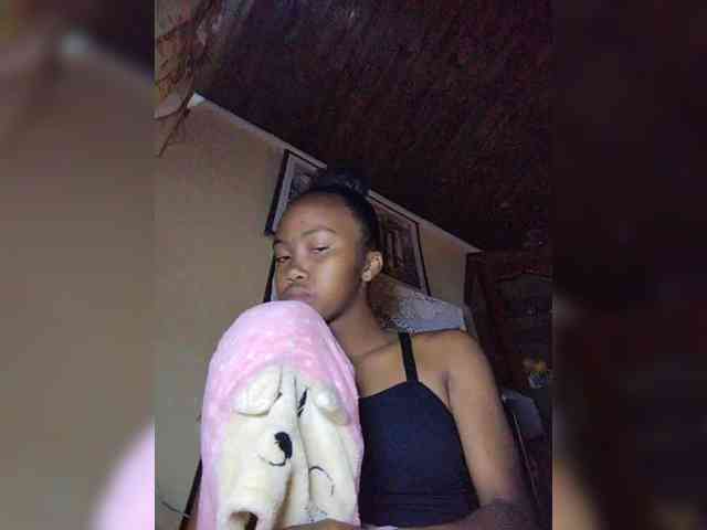 Stella11 webcam