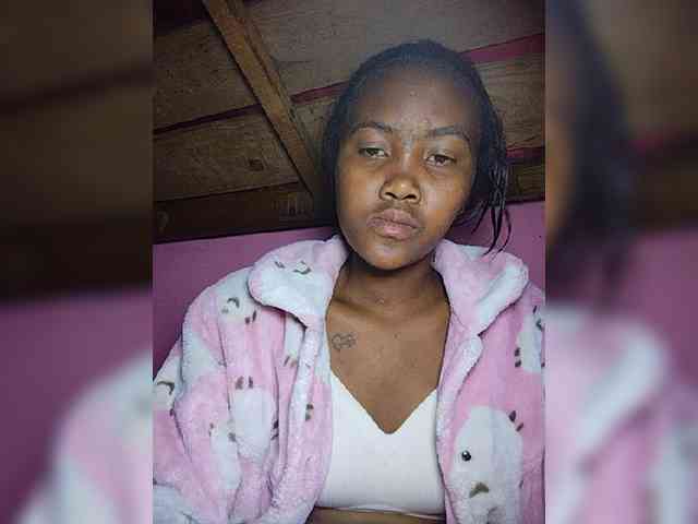 Stella11 webcam