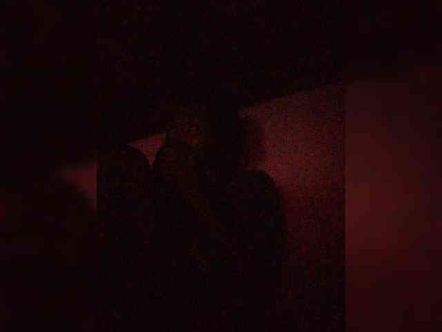 Stella11 webcam