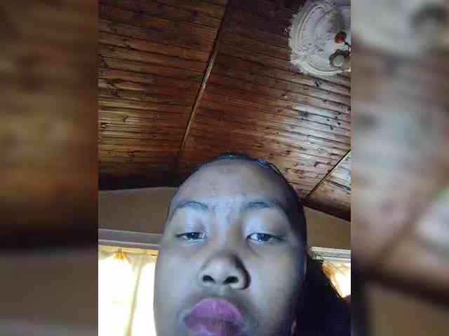 Stella11 webcam
