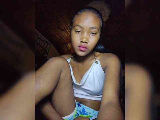 Stella11 webcam