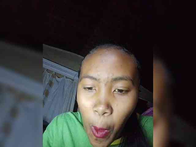 Stella11 webcam