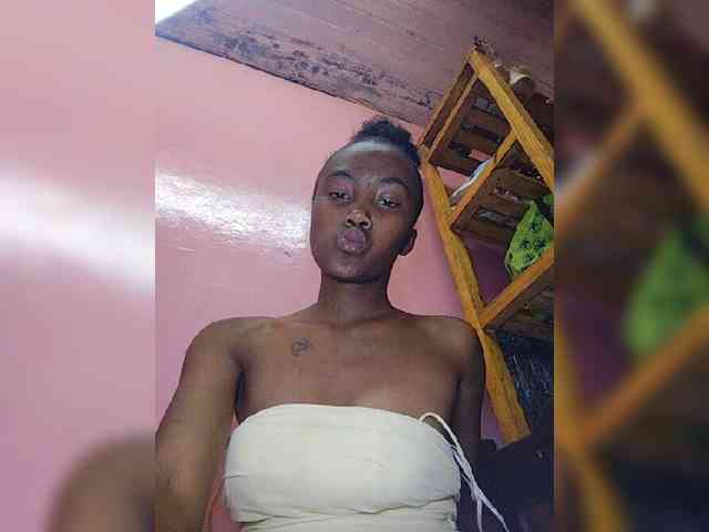 Stella11 webcam