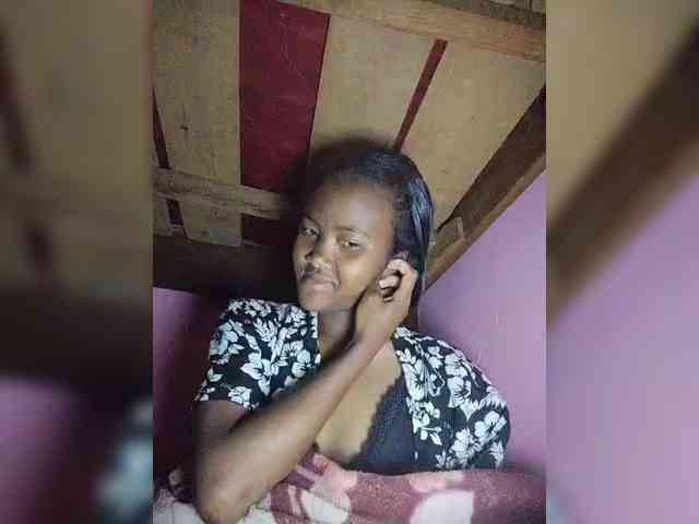 Stella11 webcam