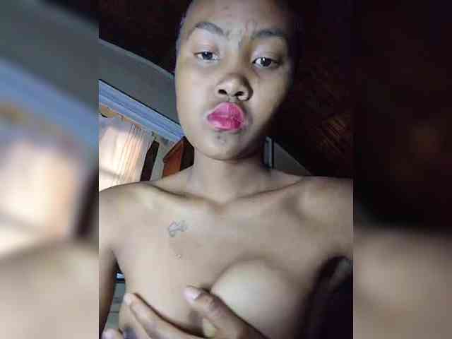 Stella11 webcam