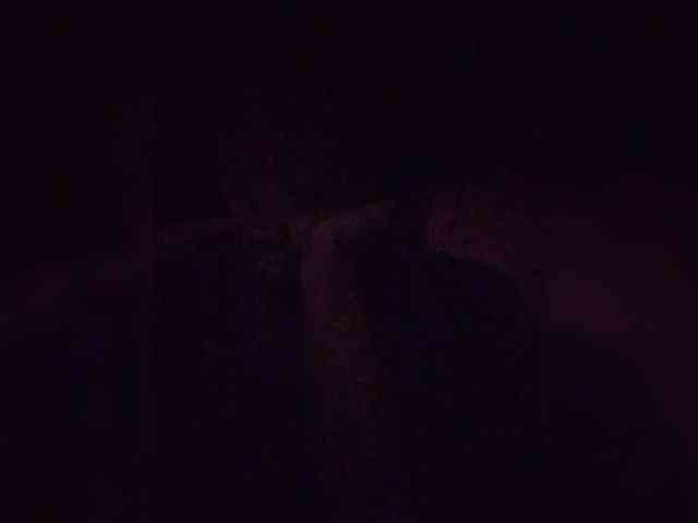 Stella11 webcam
