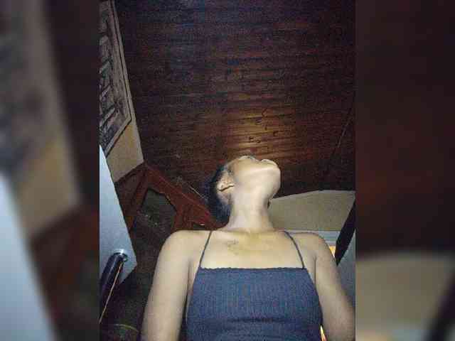 Stella11 webcam