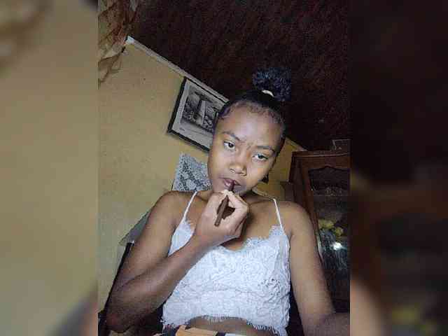 Stella11 webcam
