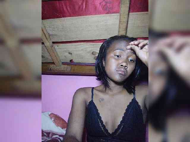 Stella11 webcam