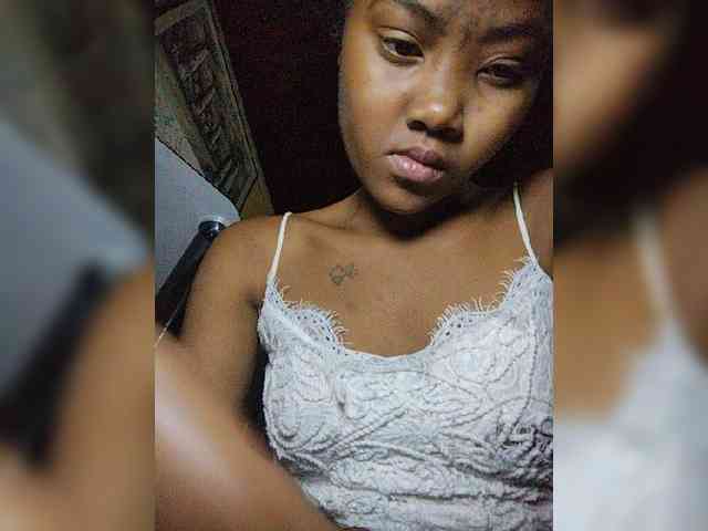 Stella11 webcam