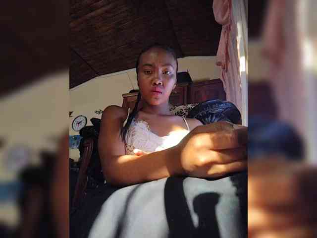 Stella11 webcam