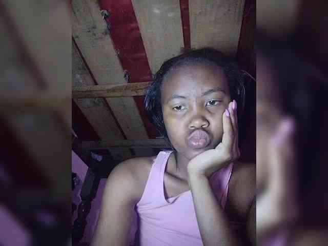 Stella11 webcam