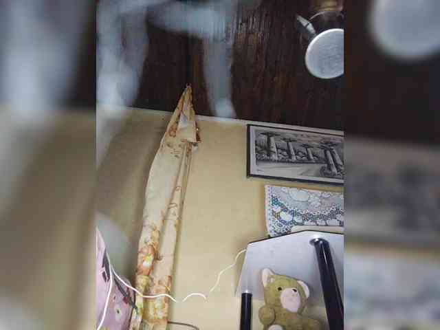 Stella11 webcam
